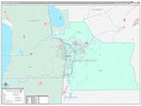 Carson City, Nv Carrier Route Wall Map